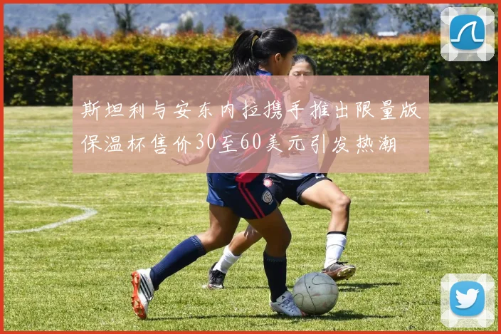 斯坦利与安东内拉携手推出限量版保温杯售价30至60美元引发热潮
